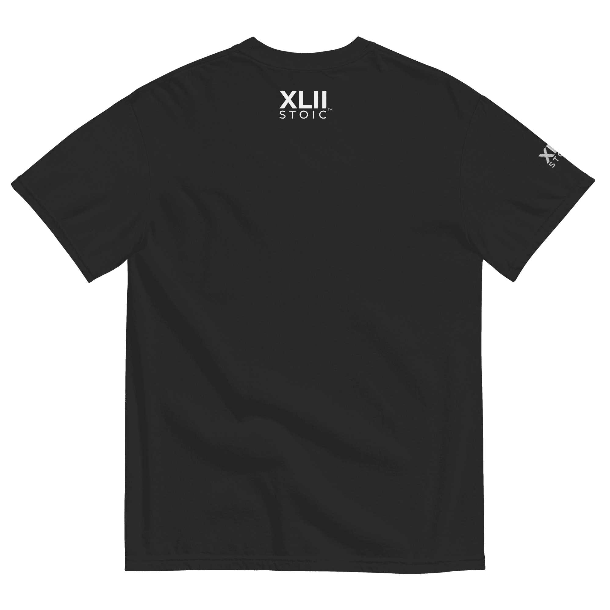 XLIISTOIC Heavyweight Tee - Image 70