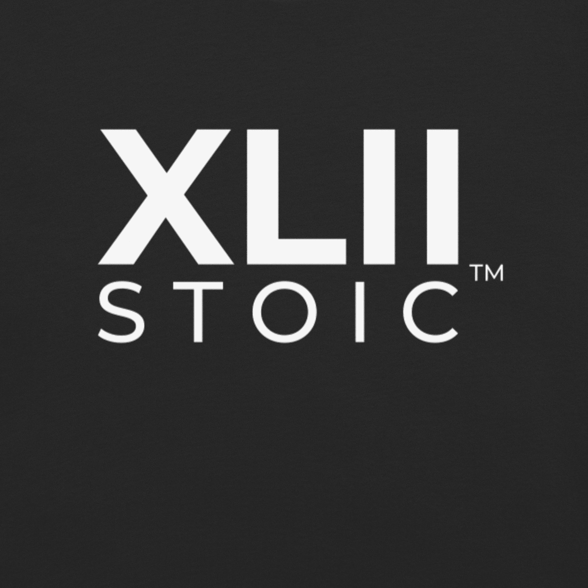 XLIISTOIC Heavyweight Tee - Image 89