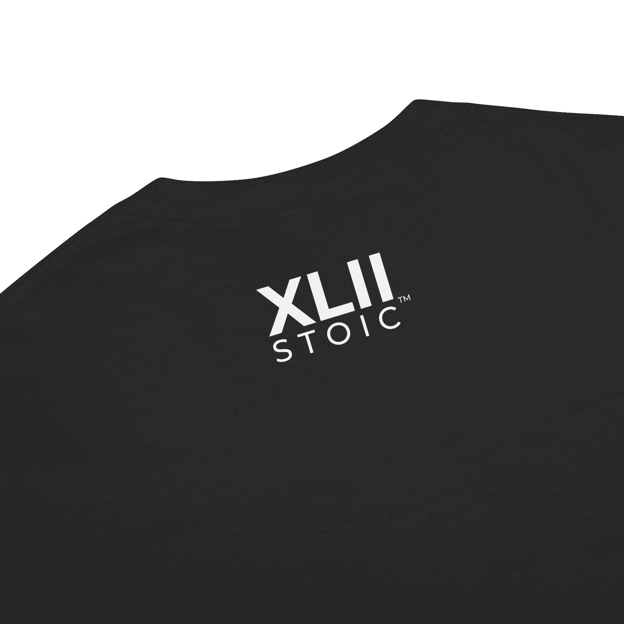 XLIISTOIC Heavyweight Tee - Image 81